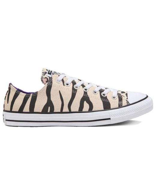Converse Blue Twisted Archive Prints Chuck Taylor All Star for men