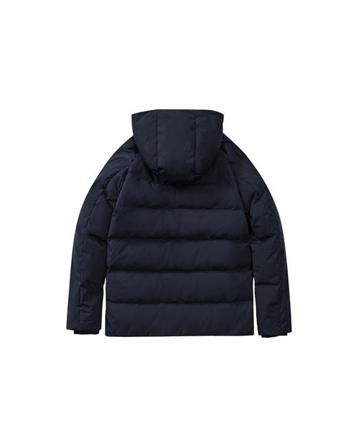 Under Armour Blue (Wmns) Logo Training Hooded Down Jacket