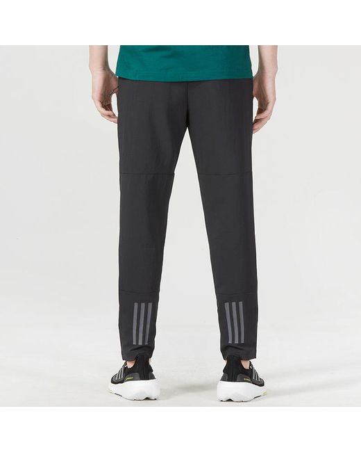 Adidas Black Train Essentials Seasonal Training Joggers for men