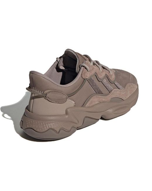 Adidas Brown Ozweego