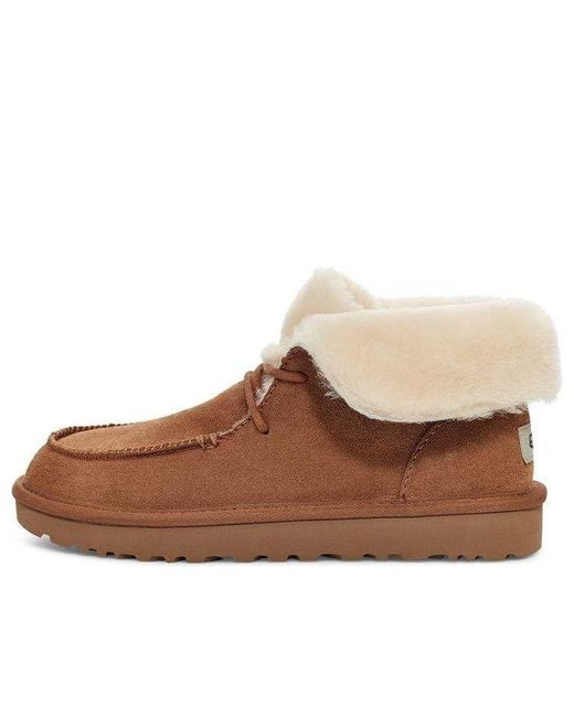 Ugg Brown (Wmns) Diara Lacing Fleece Lined