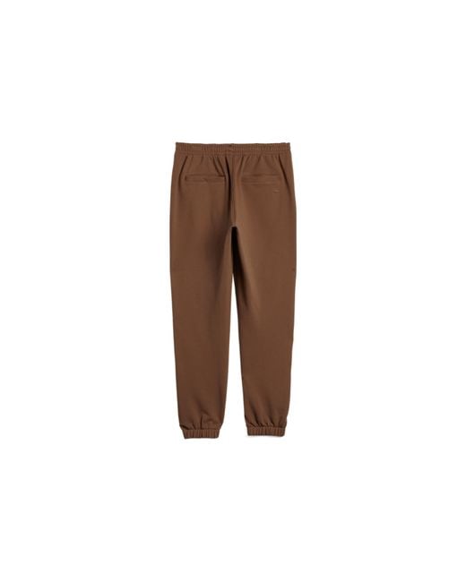 Adidas Brown Originals X Pharrell Williams Crossover Solid Color Bundle Feet Straight Sports Pants for men