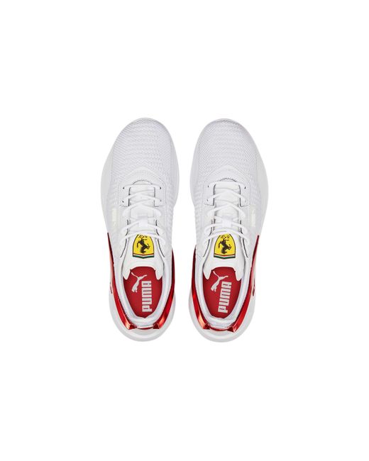 Puma rosso corsa shoes new arrivals