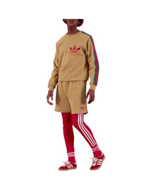Gucci Natural X Adidas Cotton Sersey Sweatshirt 'Camel' for men