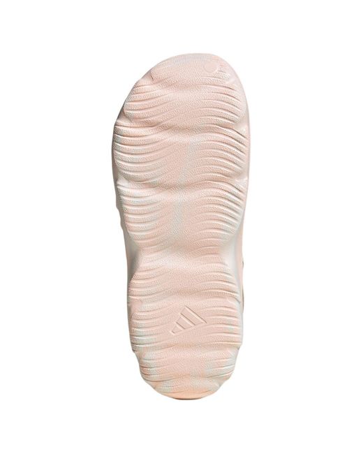 Adidas Pink Maxxclog Sandals for men