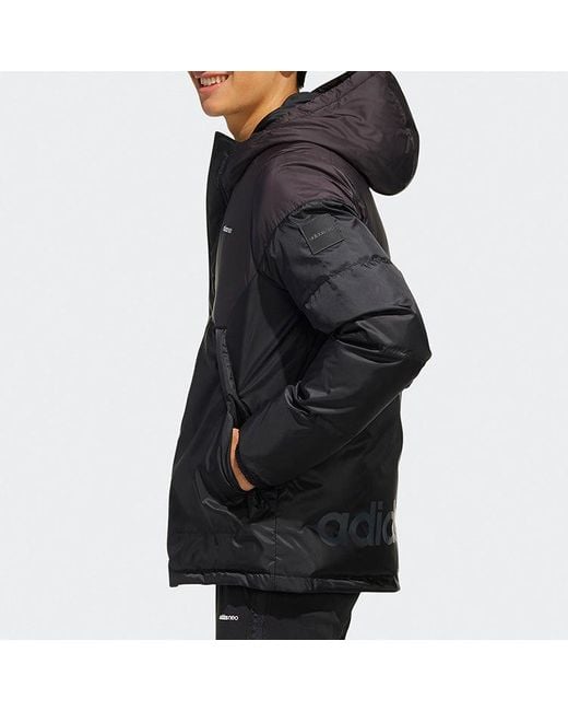 Adidas Blue Neo Solid Color Stay Warm Hooded Sports Down Jacket for men