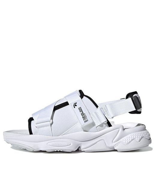 Adidas White Originals Ozweego Sandal Minimalistic Sandals for men
