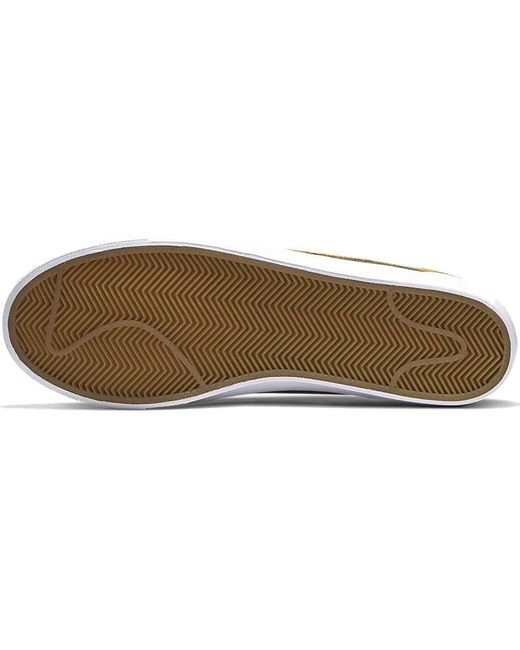 Nike Brown Zoom Blazer Low Gt Sb 'Sequoia Kumquat' for men
