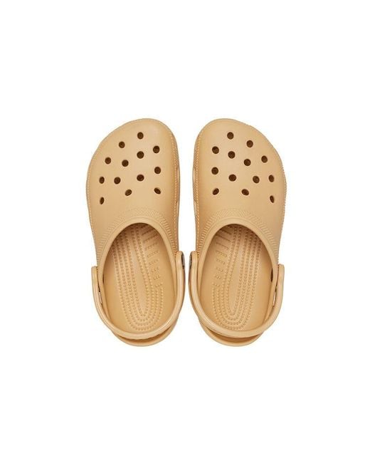 CROCSTM Natural Classic Clogs 'Wheat'