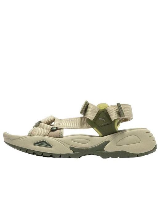 PUMA Green Traek Lite 'Birch Tree' for men