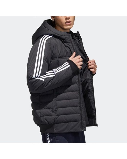 Adidas Blue Neo Sprt Dwn Puff Hooded Down Jacket for men