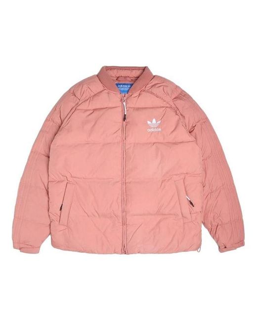 Pink superstar jacket discount