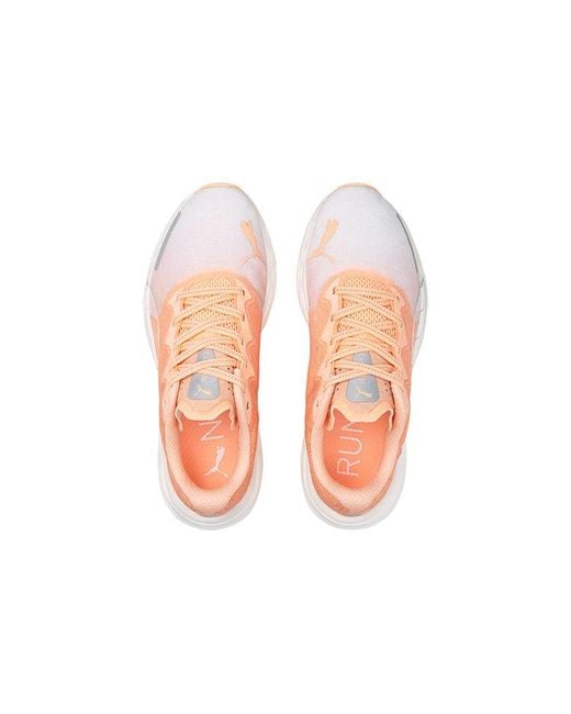 PUMA Pink (Wmns) Velocity Nitro 2 Wildwash 'Fizzy Melon'