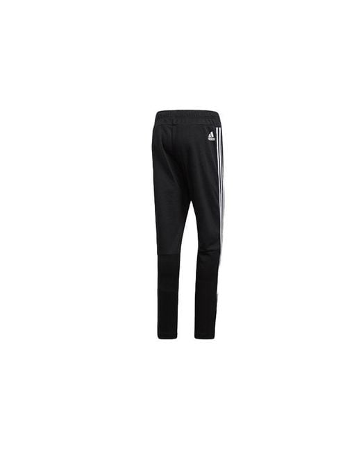 Adidas Black Sports Casual Knit Long Pants for men