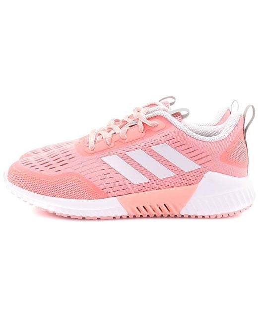 Adidas Pink (Wmns) Climacool Bounce Summer.Rdy
