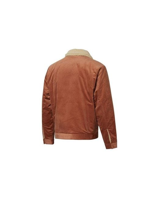 PUMA Brown Cord Embroidered Logo Reversible Corduroy Jacket for men