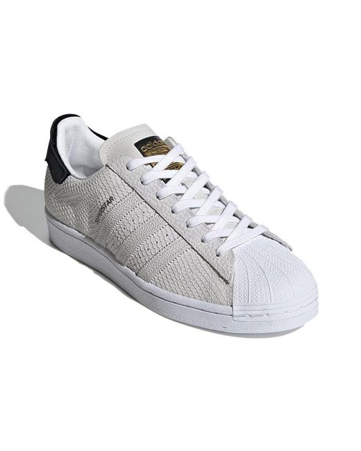 Adidas White Superstar 'Snakeskin for men