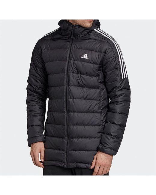 Adidas Blue Logo Print Casual Cap Sports Down Jacket for men