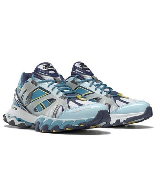 Reebok Blue Dmx Trail Shadow