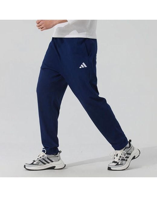 Adidas Blue Essentials Small Logo Single Jersey Pants for men