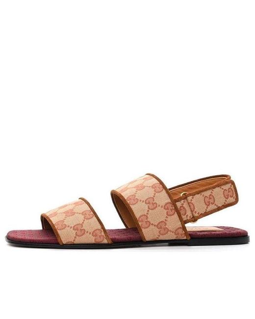 Gucci Brown gg Monogram Slingback Flat Sandals for men