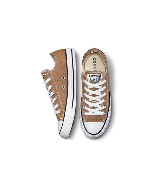 Converse Brown All Star Low Top Casual Canvas Shoe for men