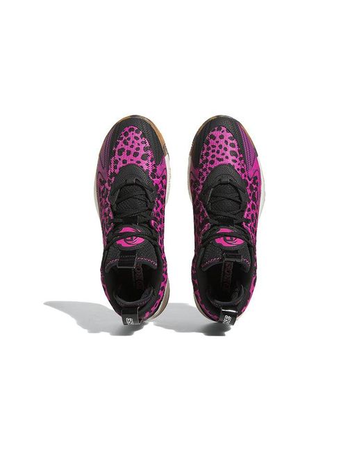 Adidas Purple D Rose Son Of Chi 2.0 X Derrick Rose for men