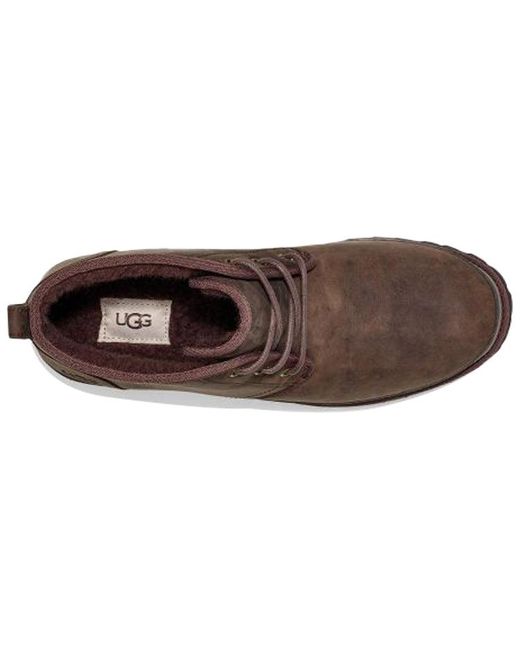Ugg Brown Neuland Lacing Waterproof for men