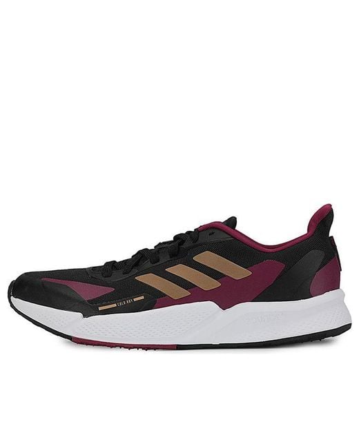 Adidas Brown X9000 L2 C.Rdypure Sneakers//Golden for men