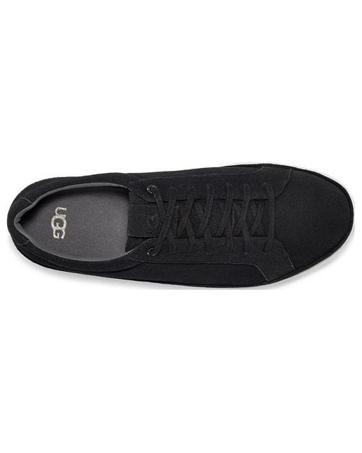 Ugg Black Cali Sneaker Suede for men