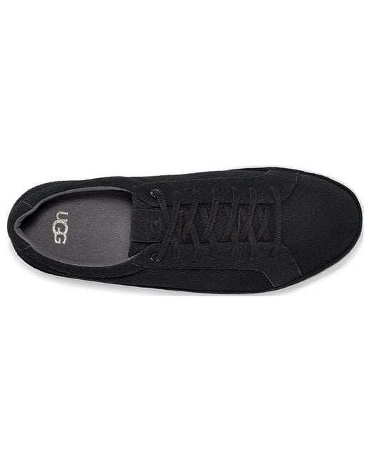 Ugg Black Cali Sneaker Suede for men