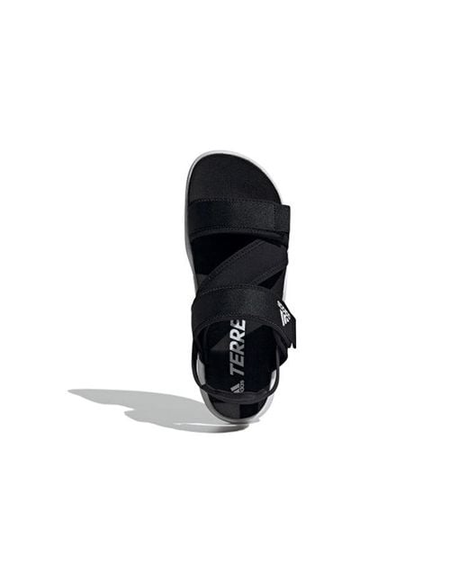 Adidas Blue Terrex Sumra for men