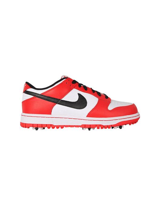 Nike men's dunk ng golf shoes hotsell