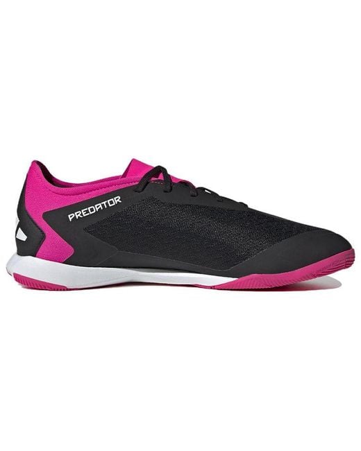 Adidas Purple Predator Accuracy.3 Low for men