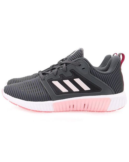 Adidas Blue (Wmns) Climacool Vent W