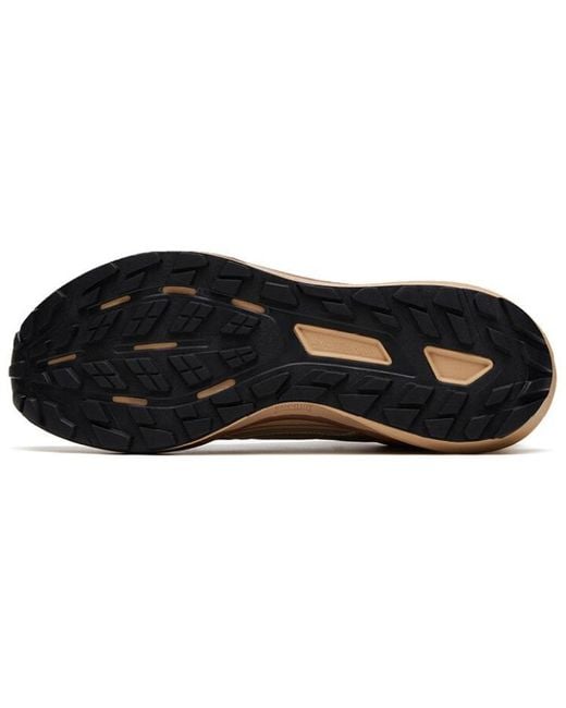 Anta Brown Champion for men