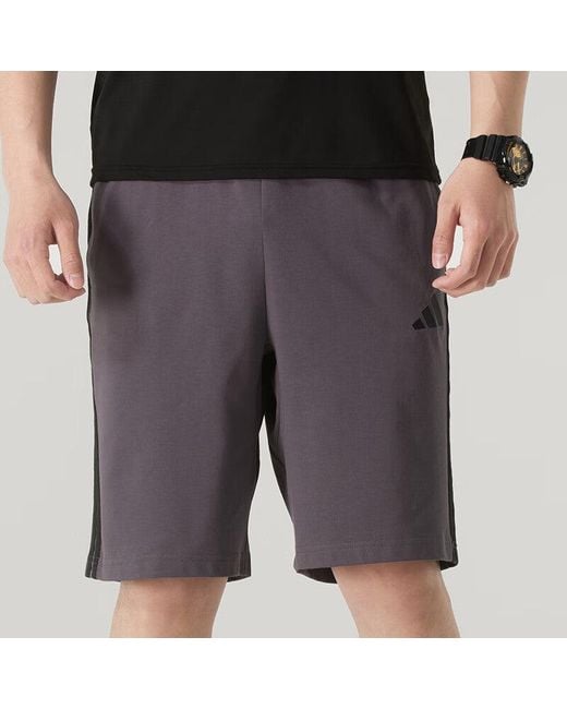 Adidas Purple Shorts for men