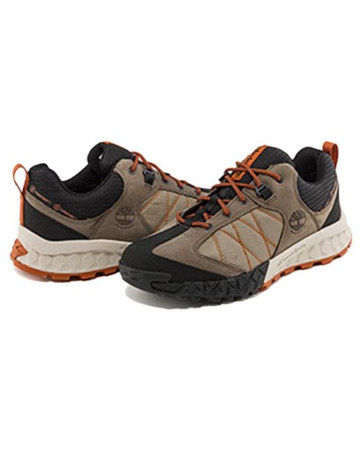 Timberland Brown Trailquest for men
