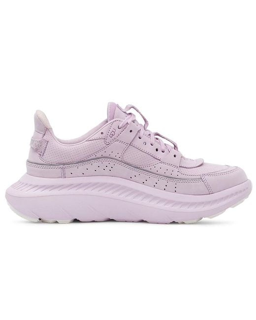 Ugg Purple Ca805 Trainers for men