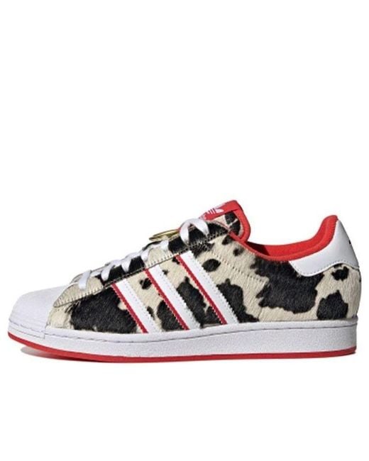 Adidas Blue Superstar 'Chinese New Year for men