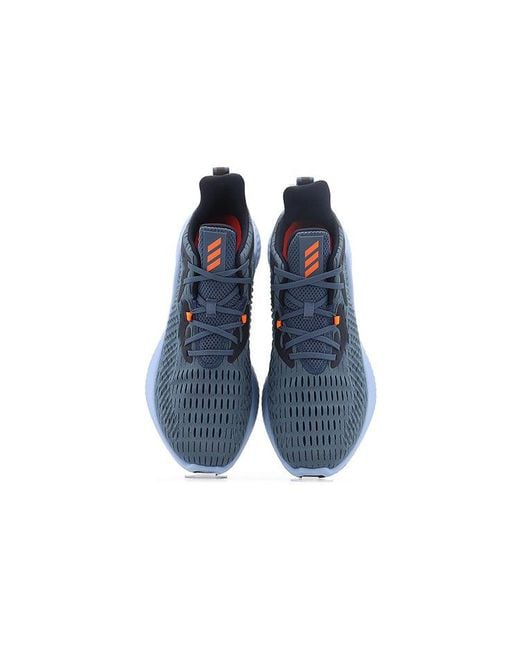 Adidas Blue Alphabounce+ Run for men