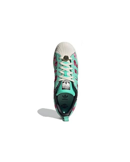 Adidas Blue Arizona X Superstar Tea With Ginseng And Honey' for men