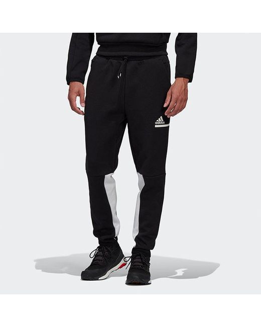 zne pants