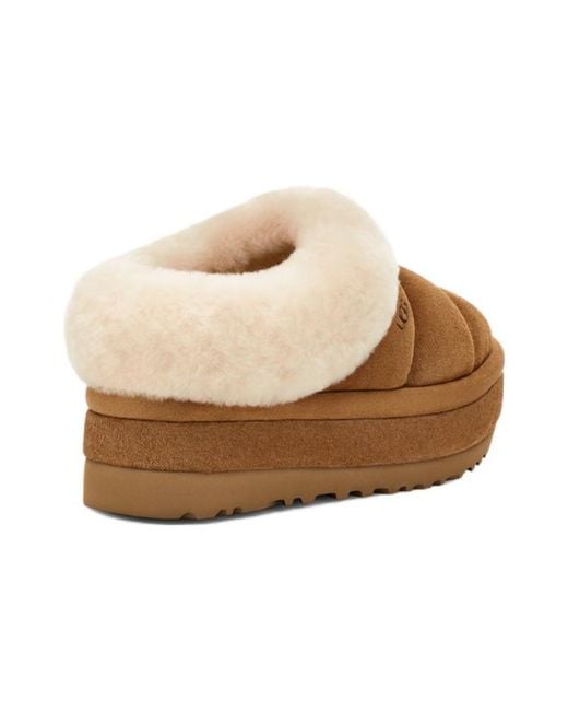 Ugg Brown (Wmns) Tazzlita 'Chestnut'