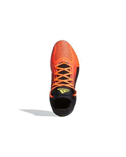 Adidas Blue D Rose 11 'Phoenix Reborn' for men
