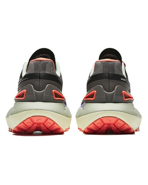 Anta Blue Champion Collection for men