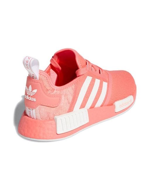 Adidas Pink (Wmns) Nmd_R1 'Semi Flash'