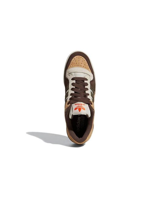 Adidas Brown Forum Low 84 'Branch' for men