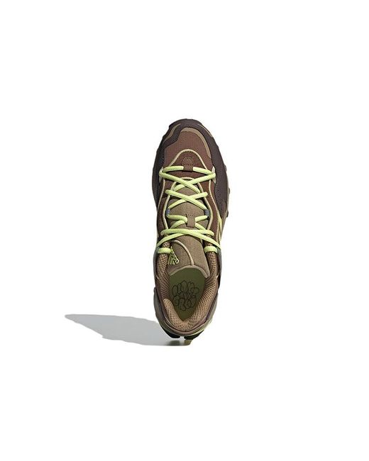 Adidas Brown Response Hoverturf 'Plant And Grow' for men