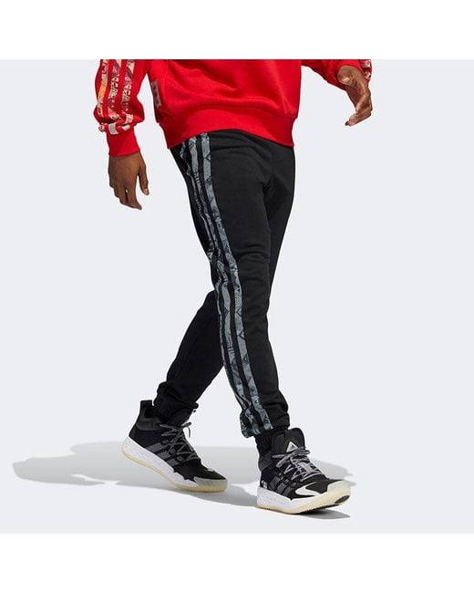 Adidas Black Limited Bundle Feet Sports Pants/Trousers/Joggers for men